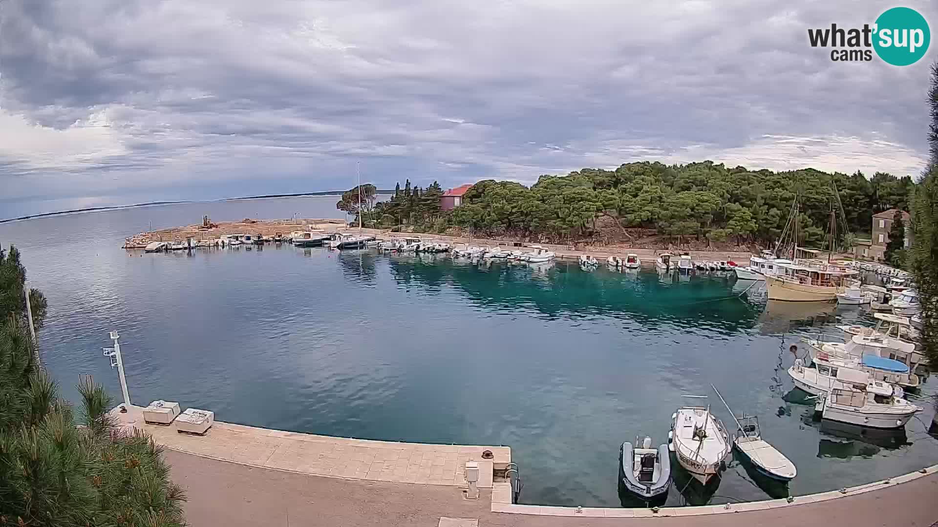 Mandre – marina