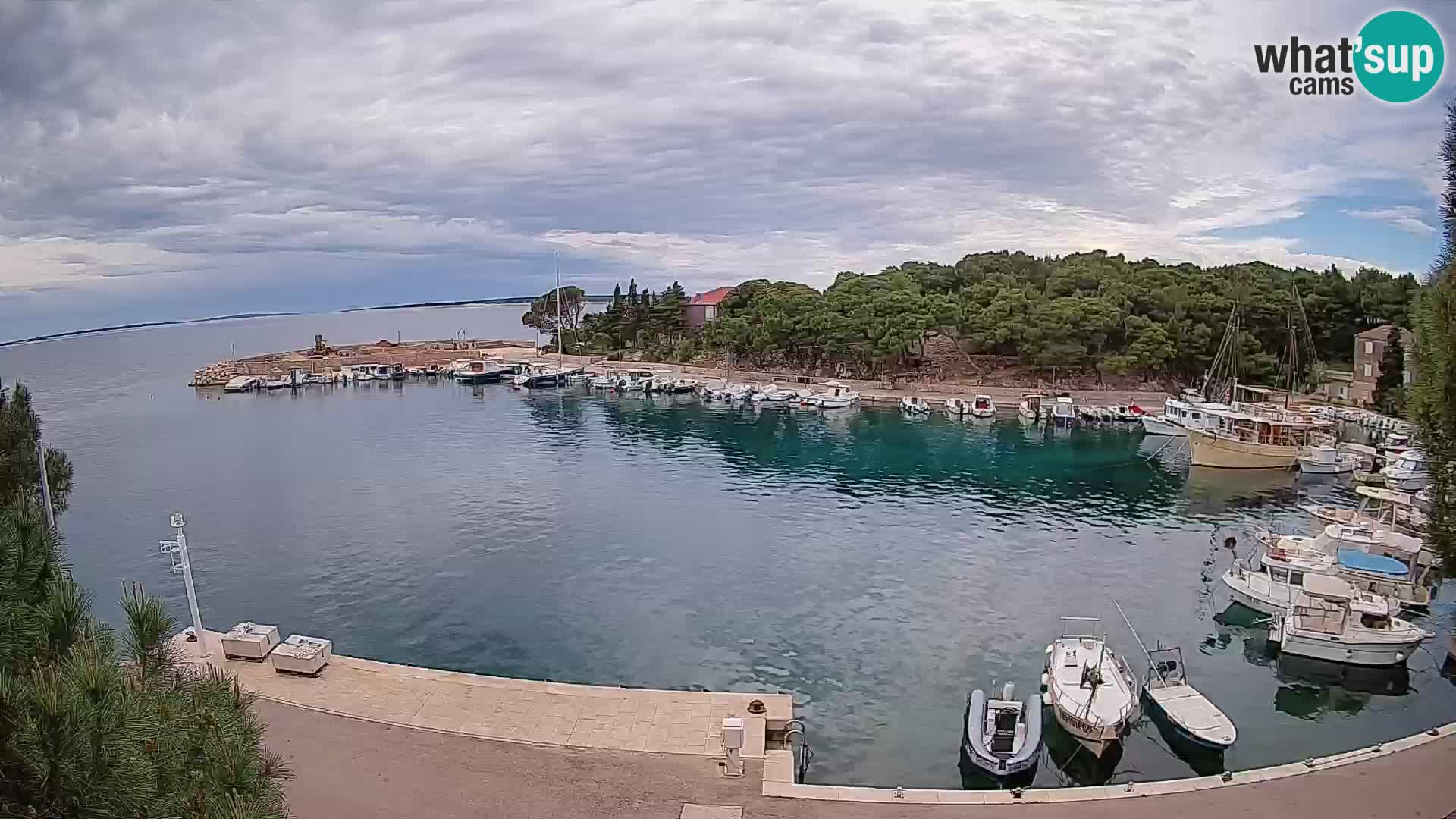Mandre – marina