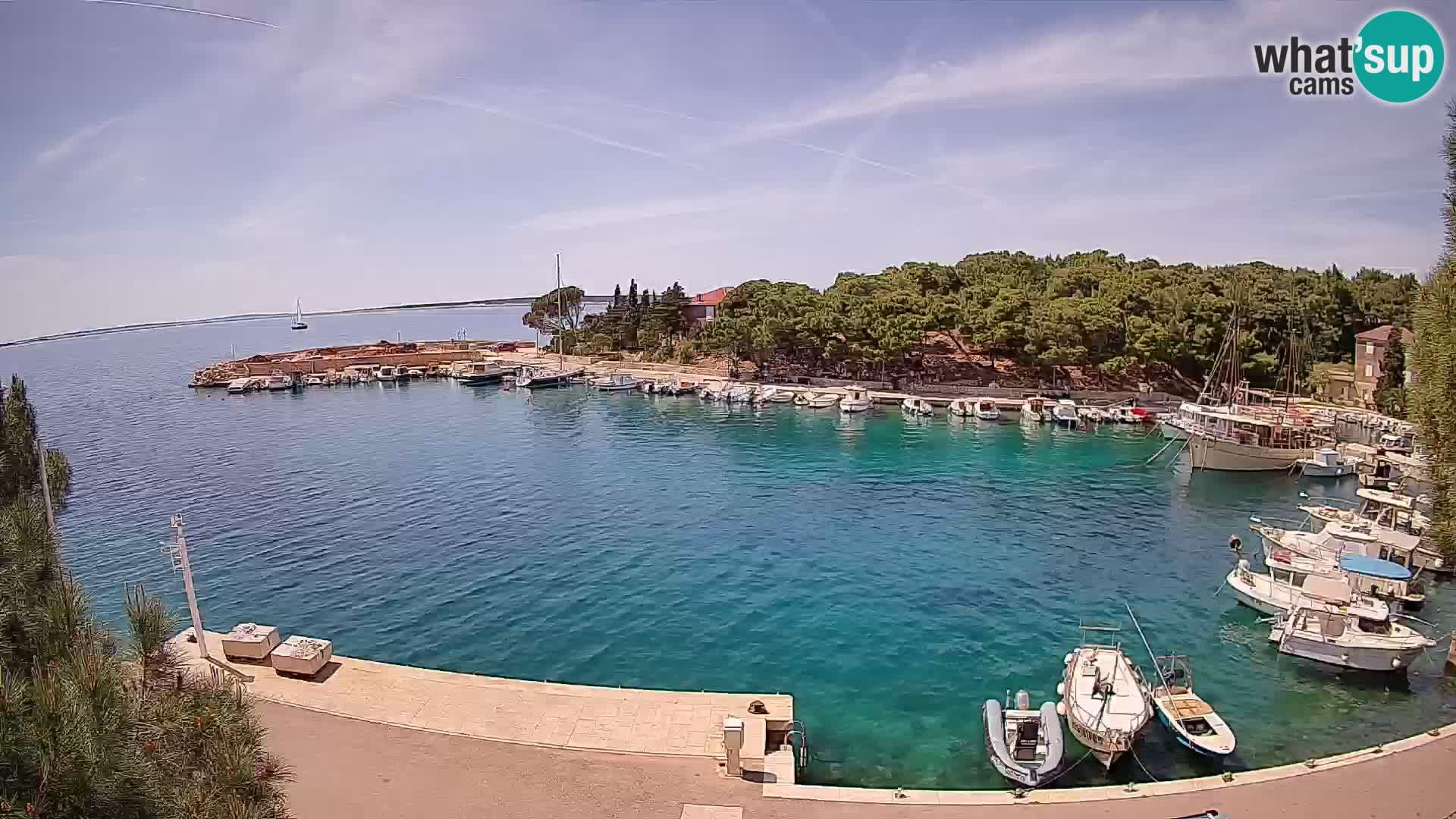 Mandre – marina