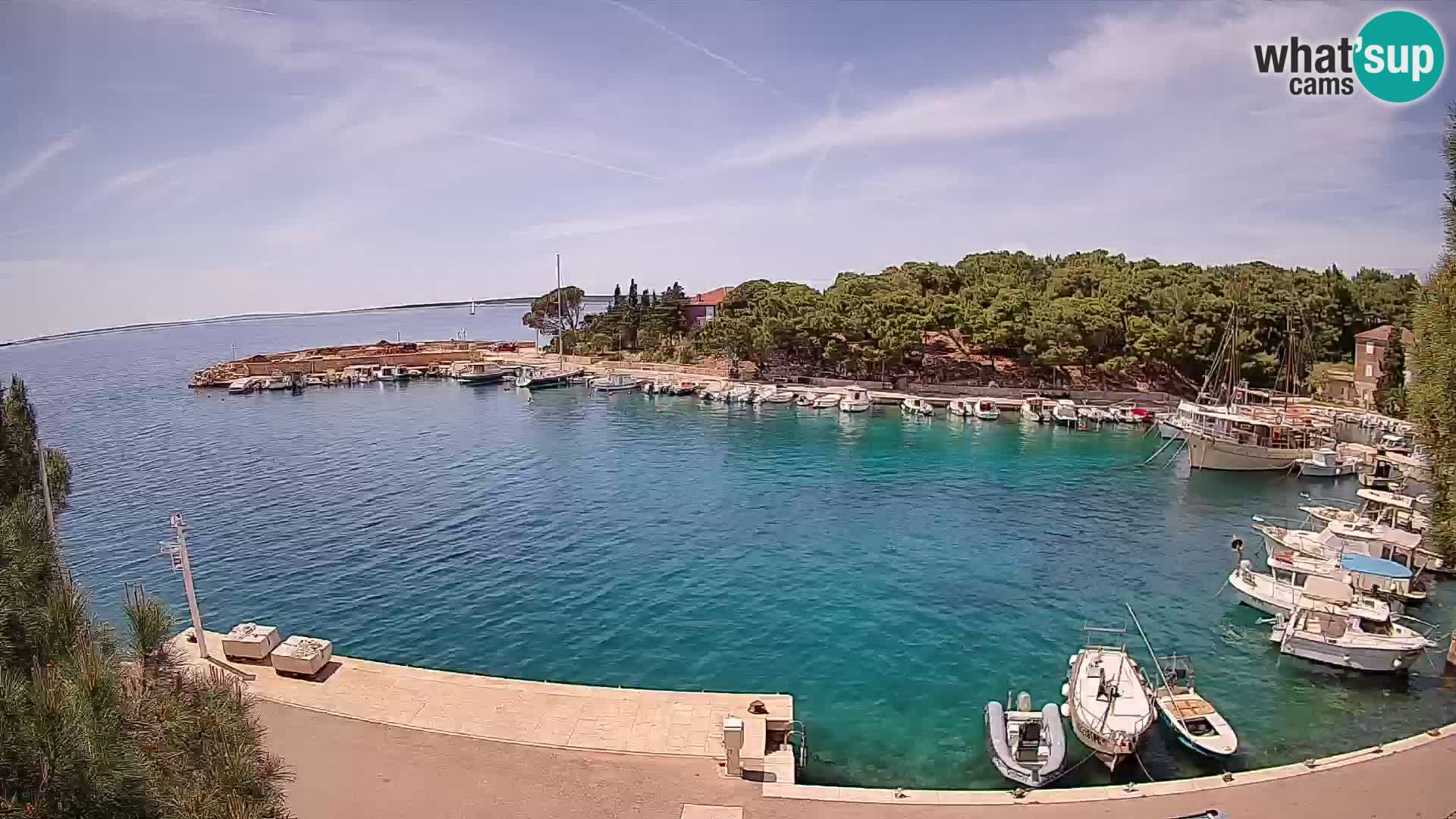 Mandre – marina