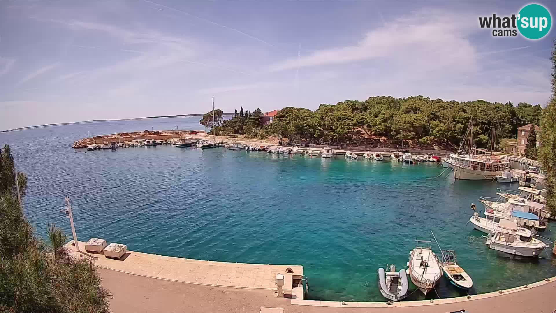 Mandre – marina