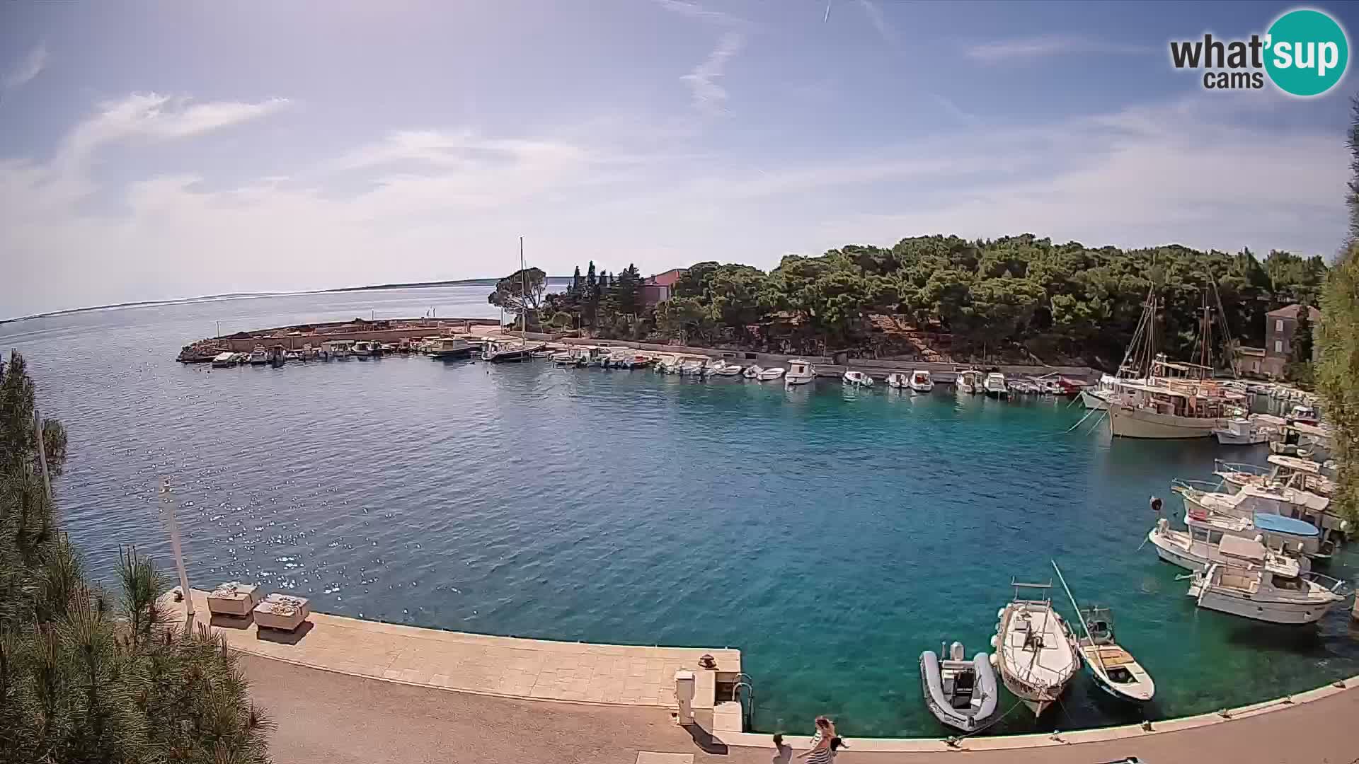 Mandre – marina