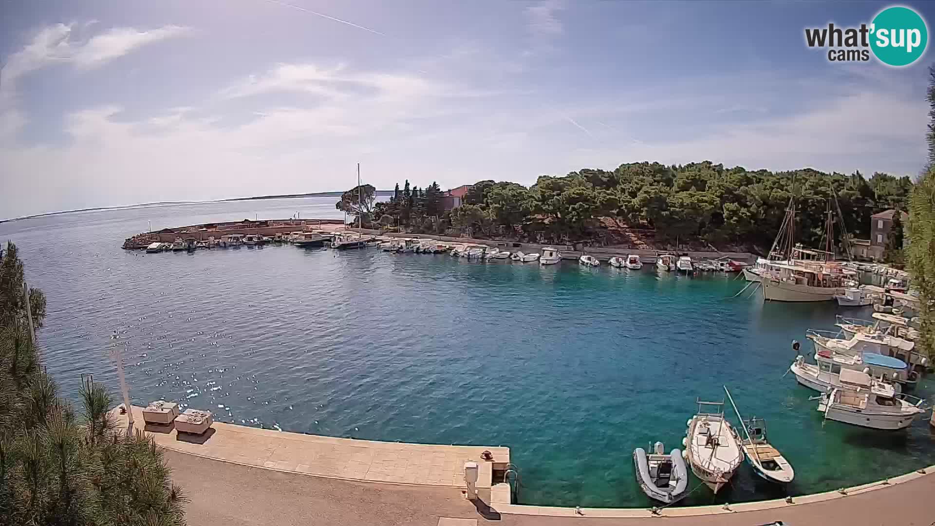 Mandre – marina