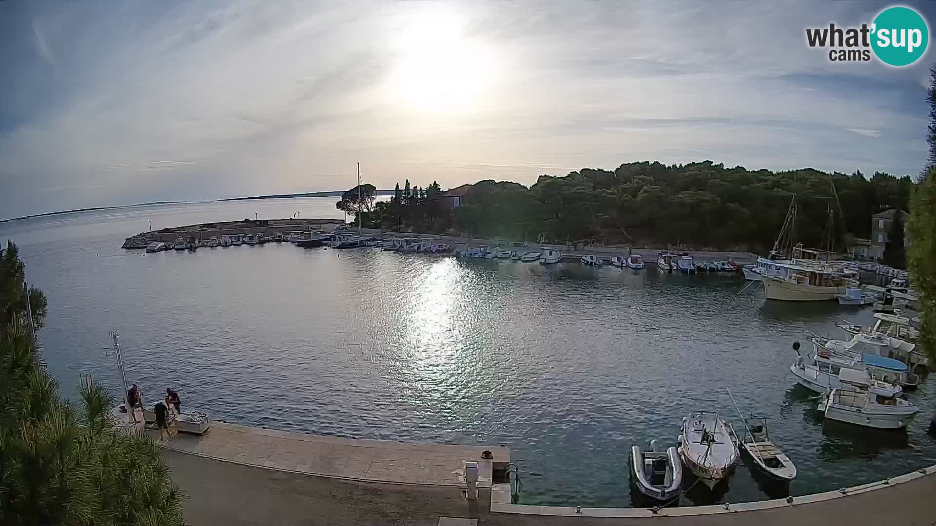 Mandre – marina