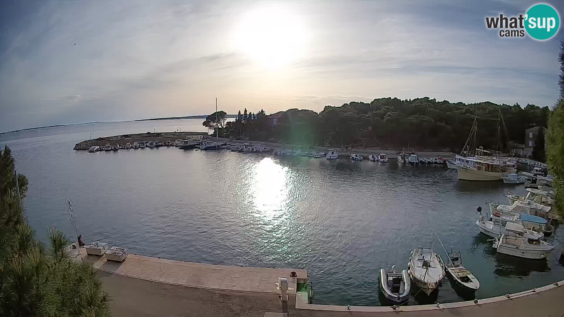 Mandre – marina