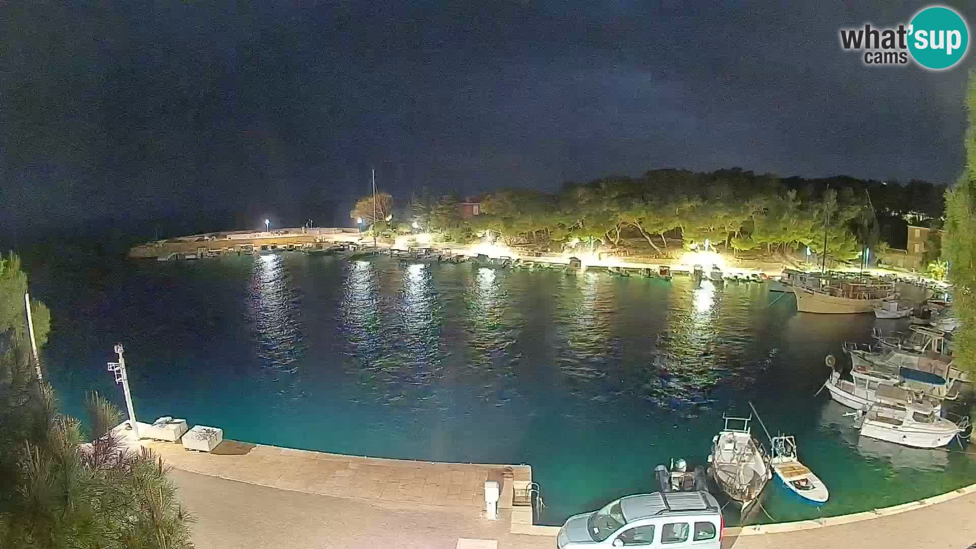 Mandre – marina