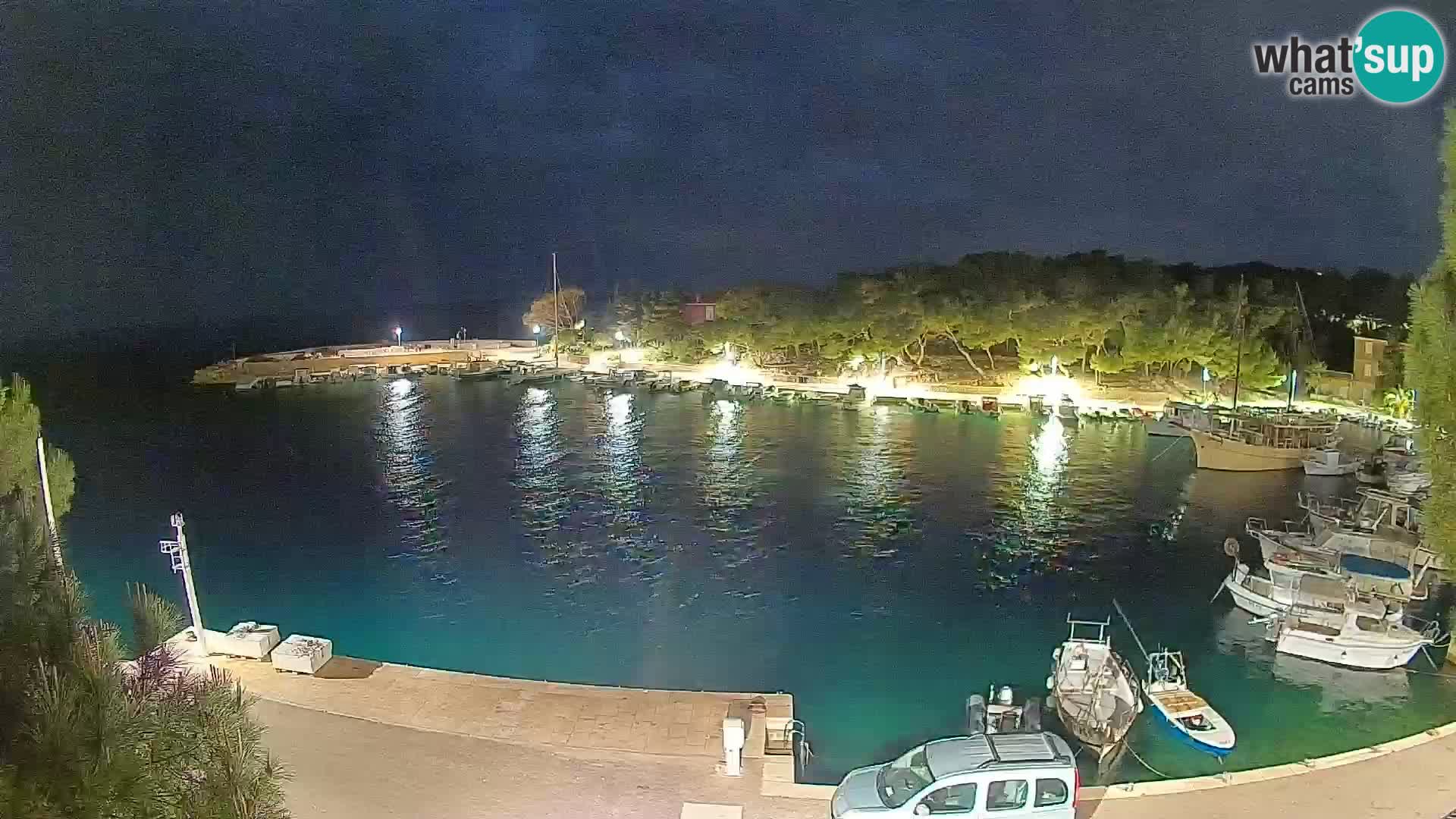 Mandre – marina