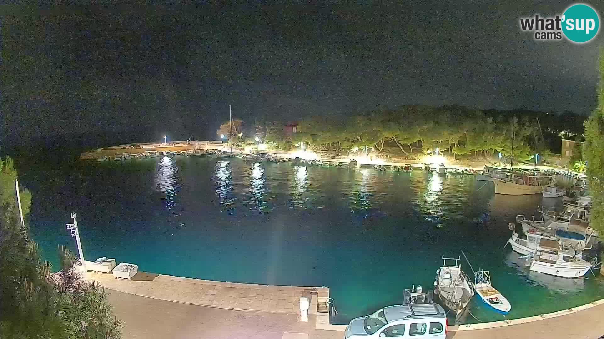 Mandre – marina