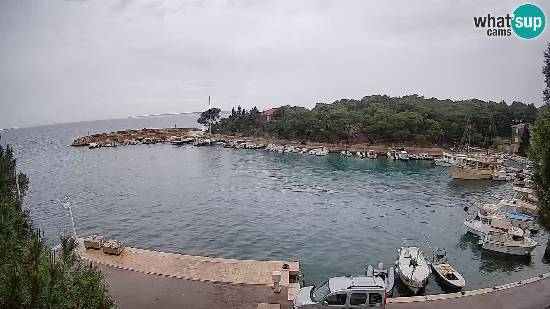 Mandre – marina