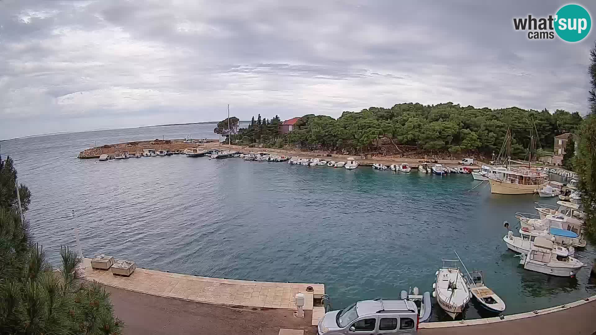 Mandre – marina