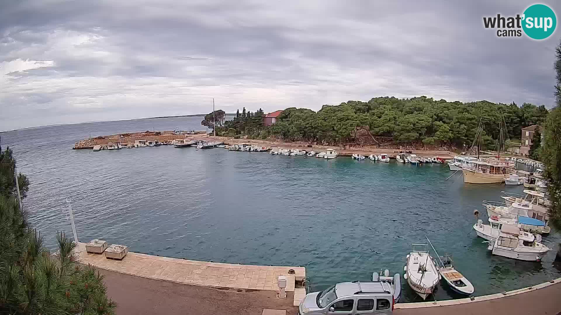 Mandre – marina