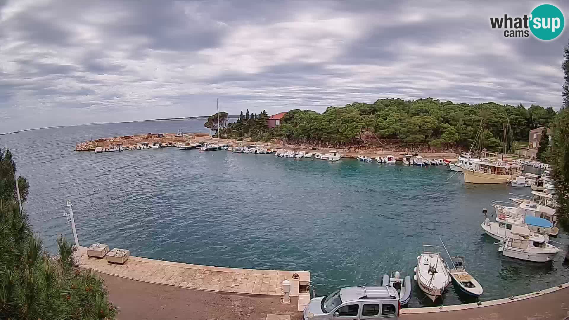 Mandre – marina