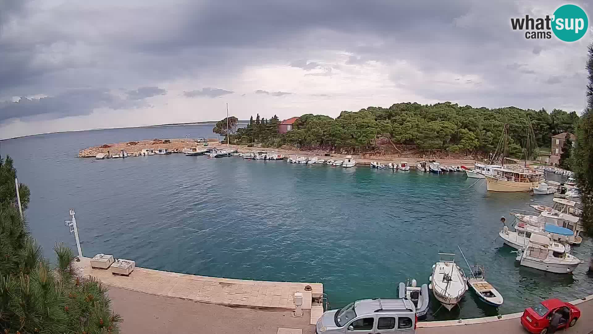Mandre – marina