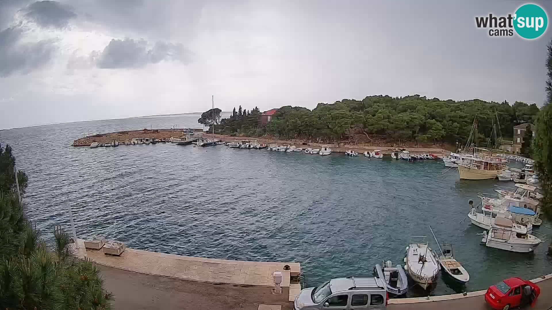 Mandre – marina
