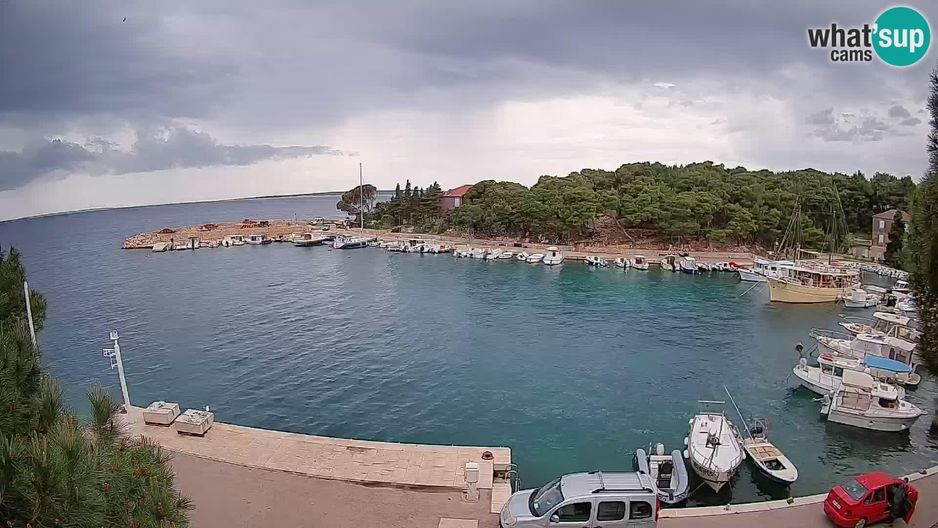 Mandre – marina
