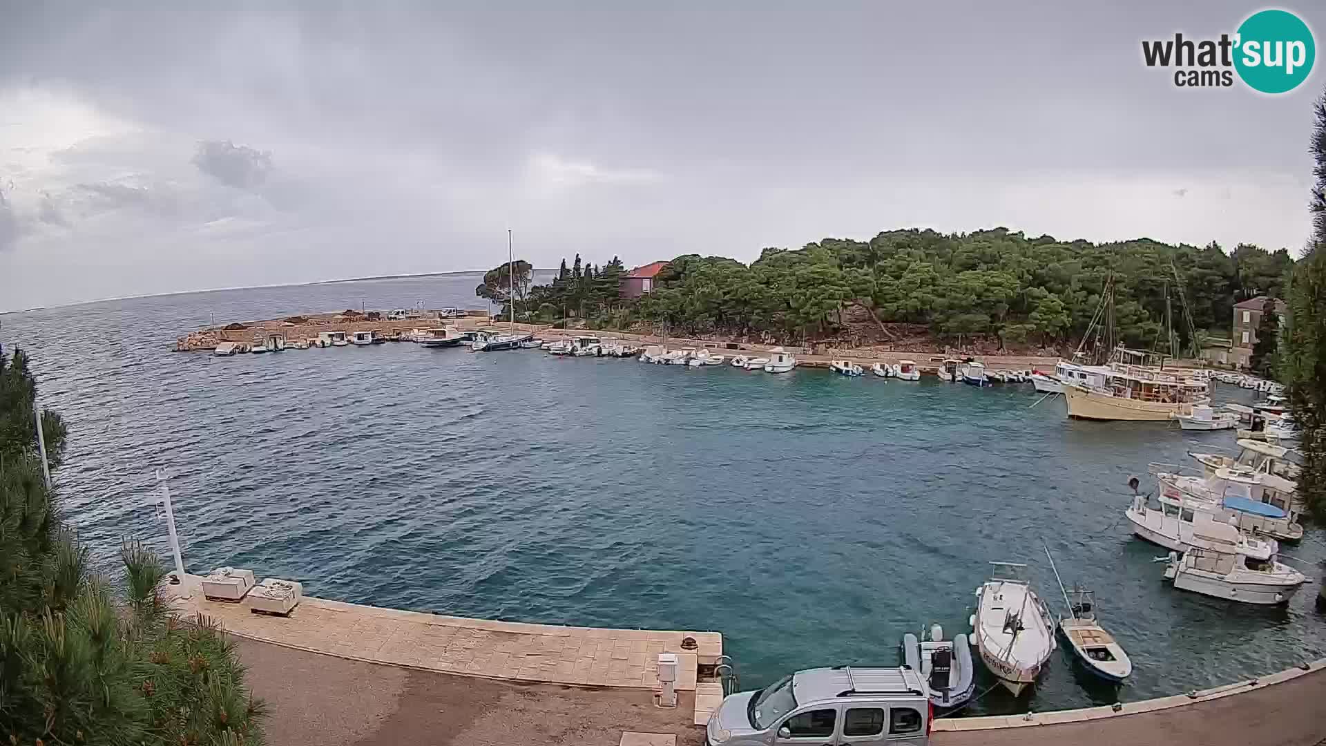 Mandre – marina