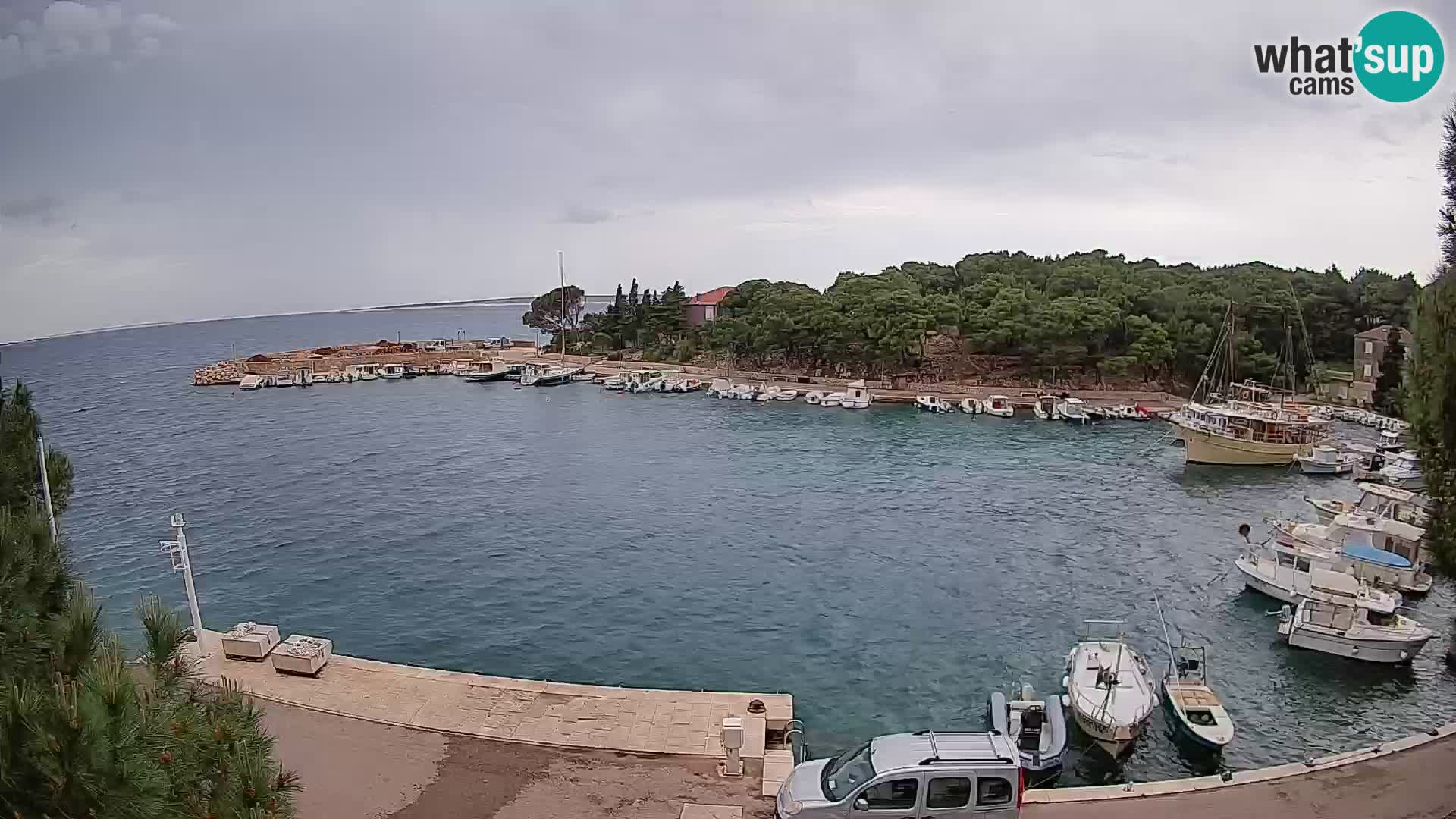 Mandre – marina