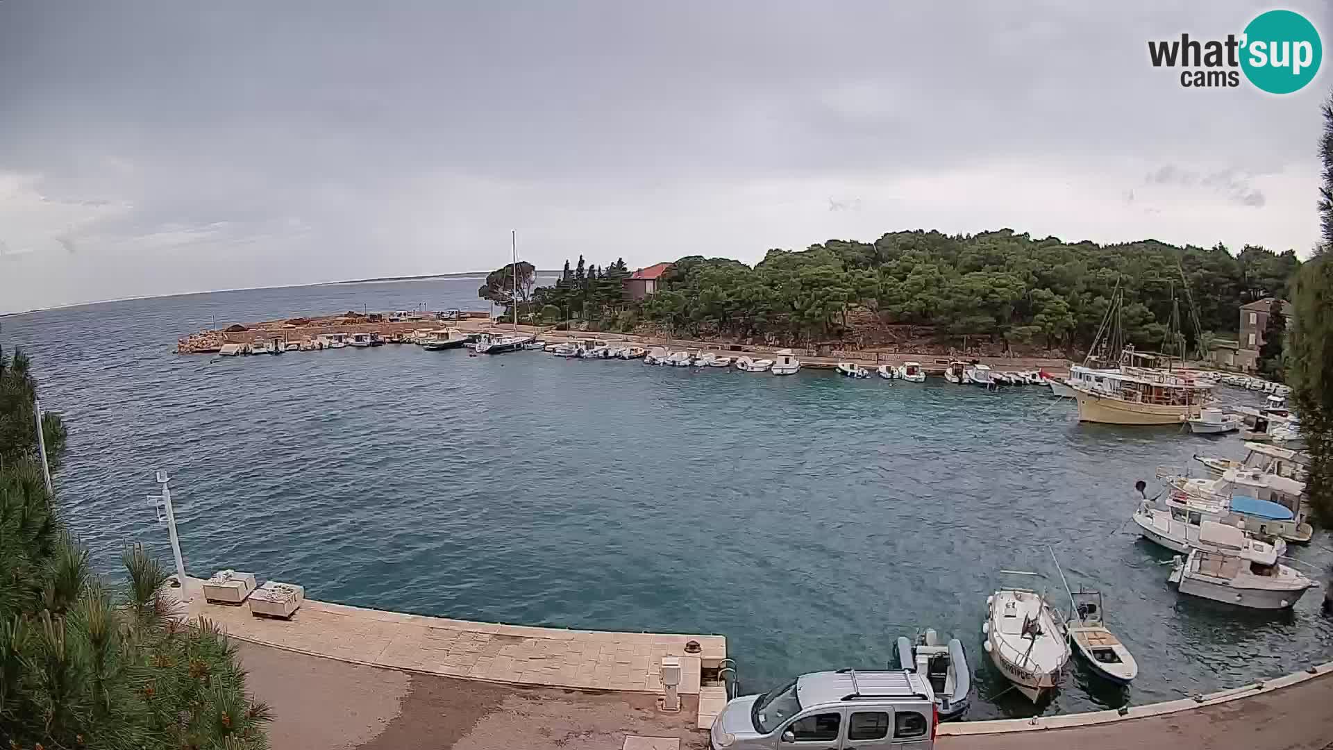 Mandre – marina