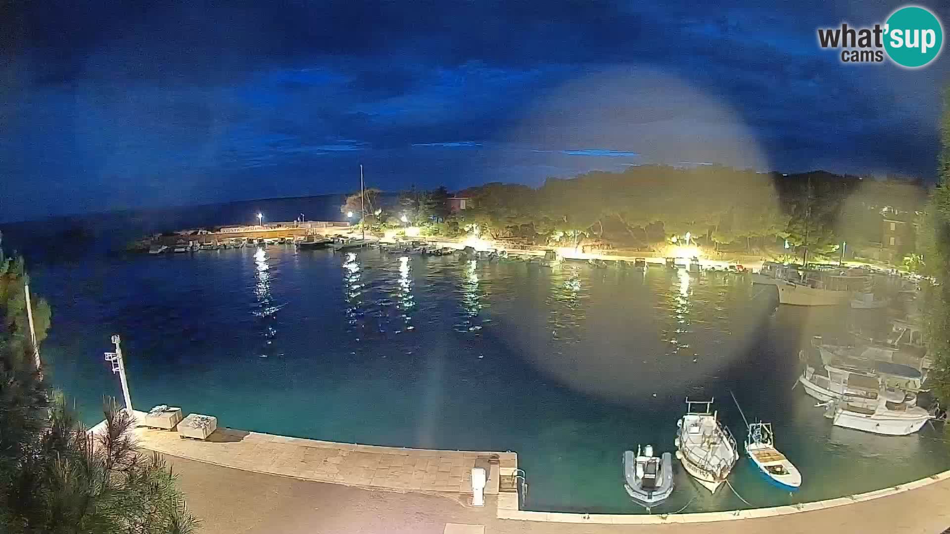Mandre – marina