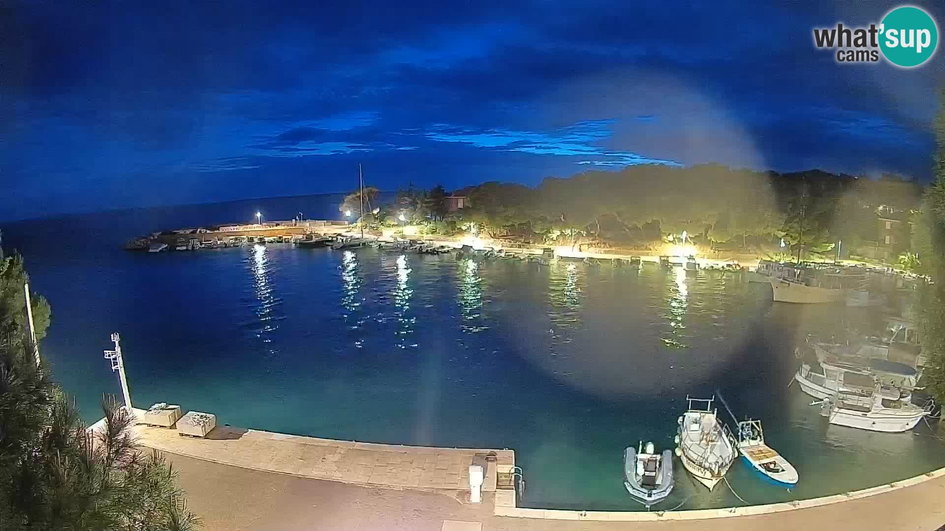 Mandre – marina