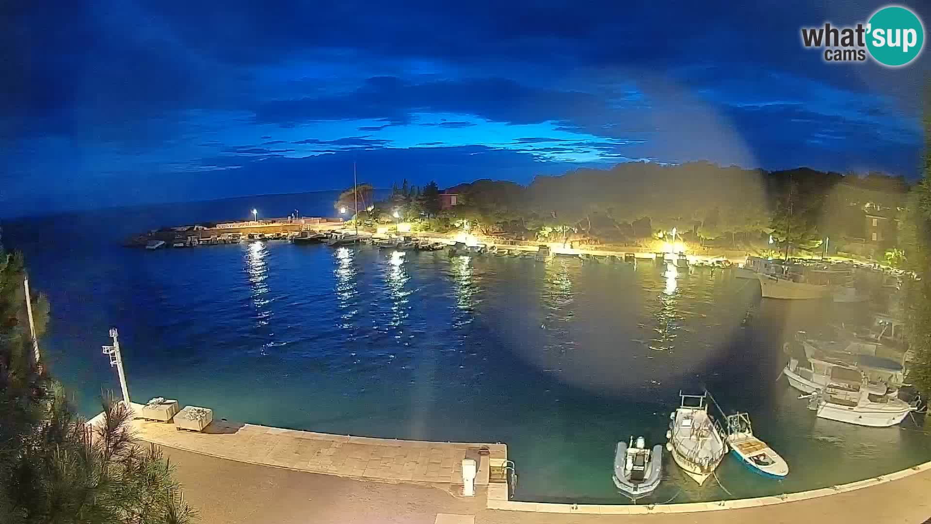 Mandre – marina