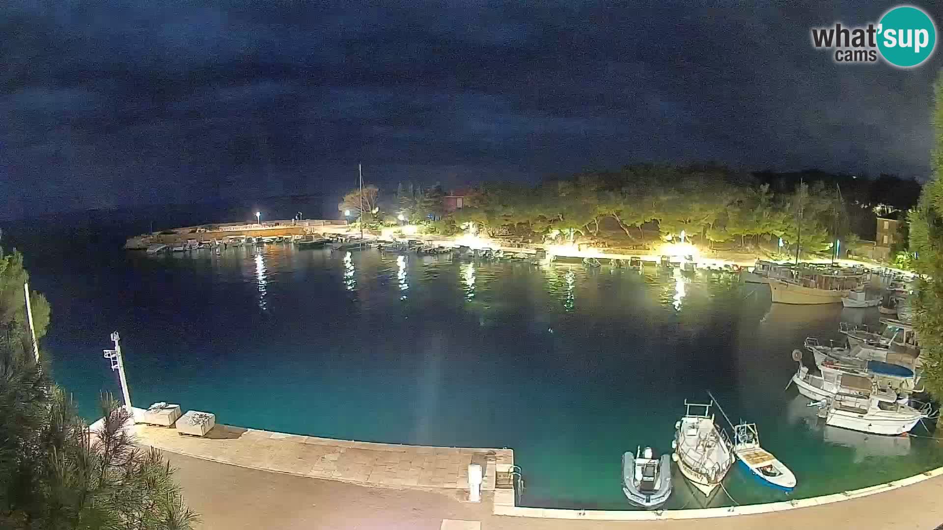 Mandre – marina