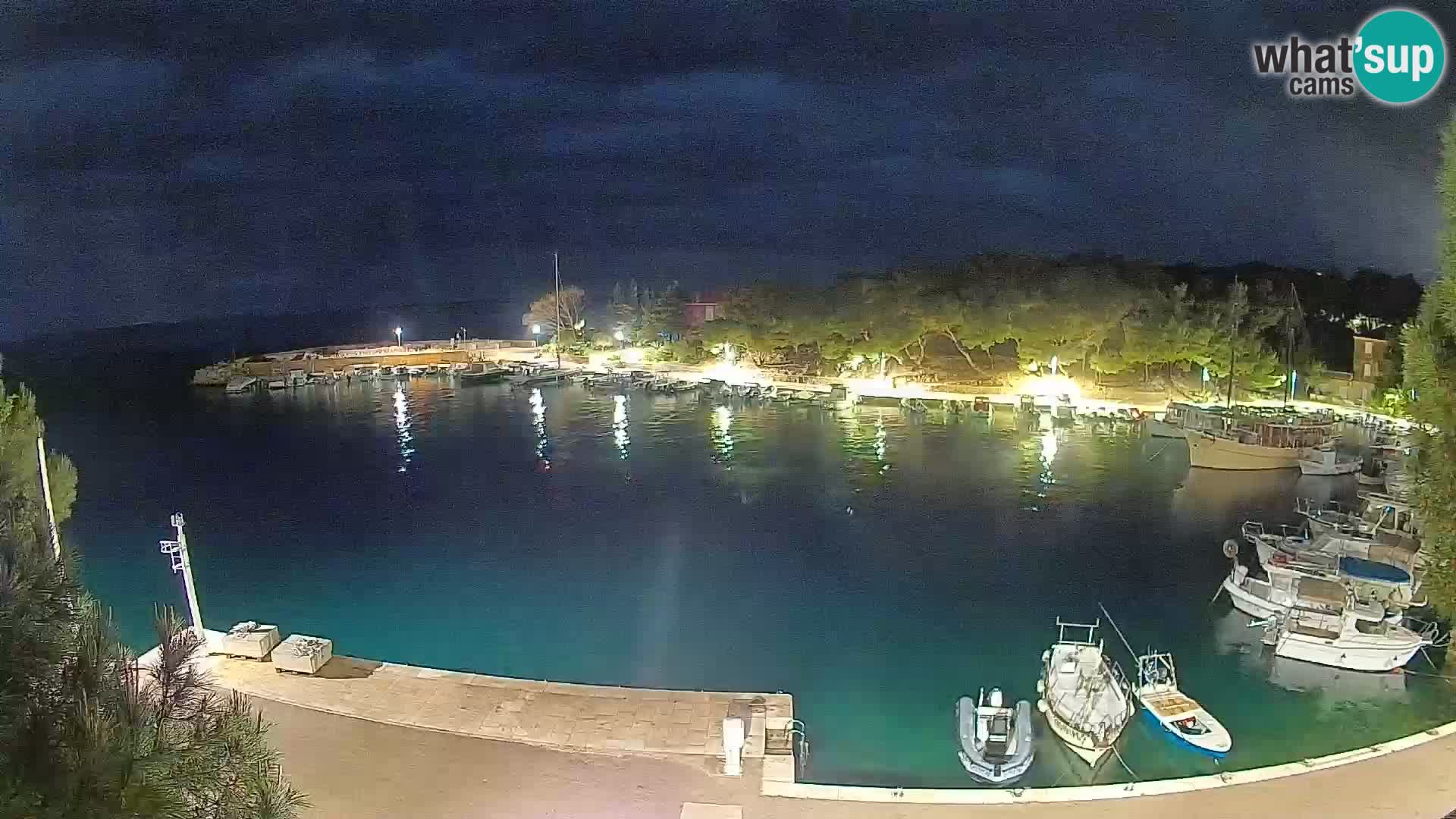 Mandre – marina