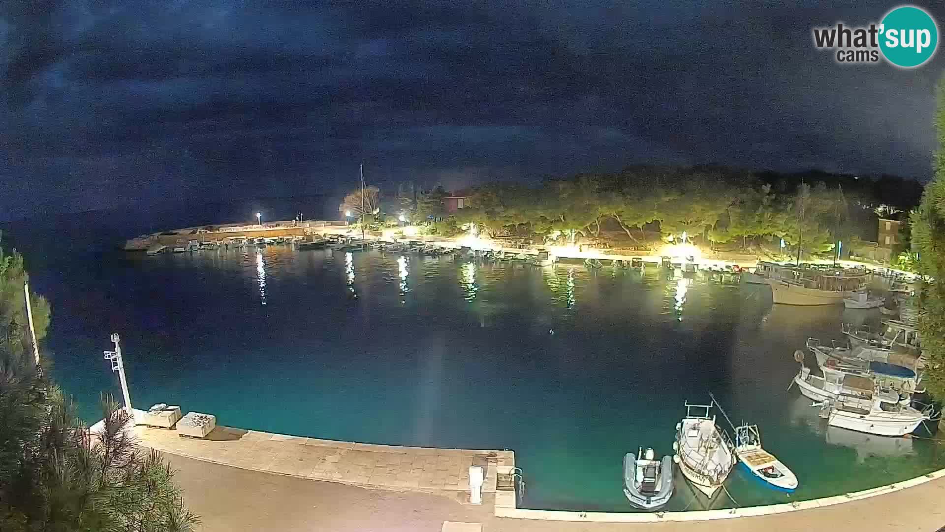 Mandre – marina