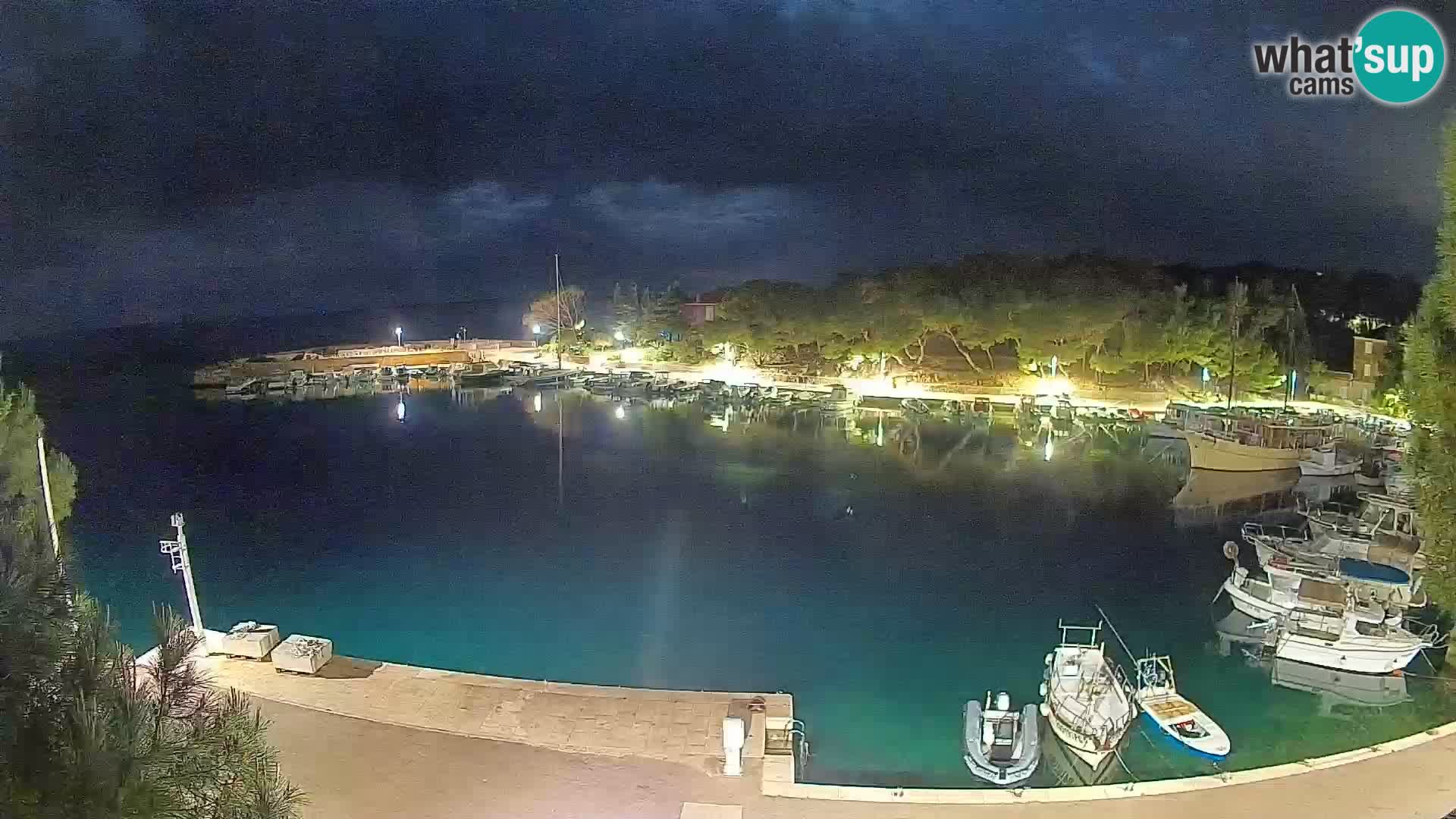Mandre – marina