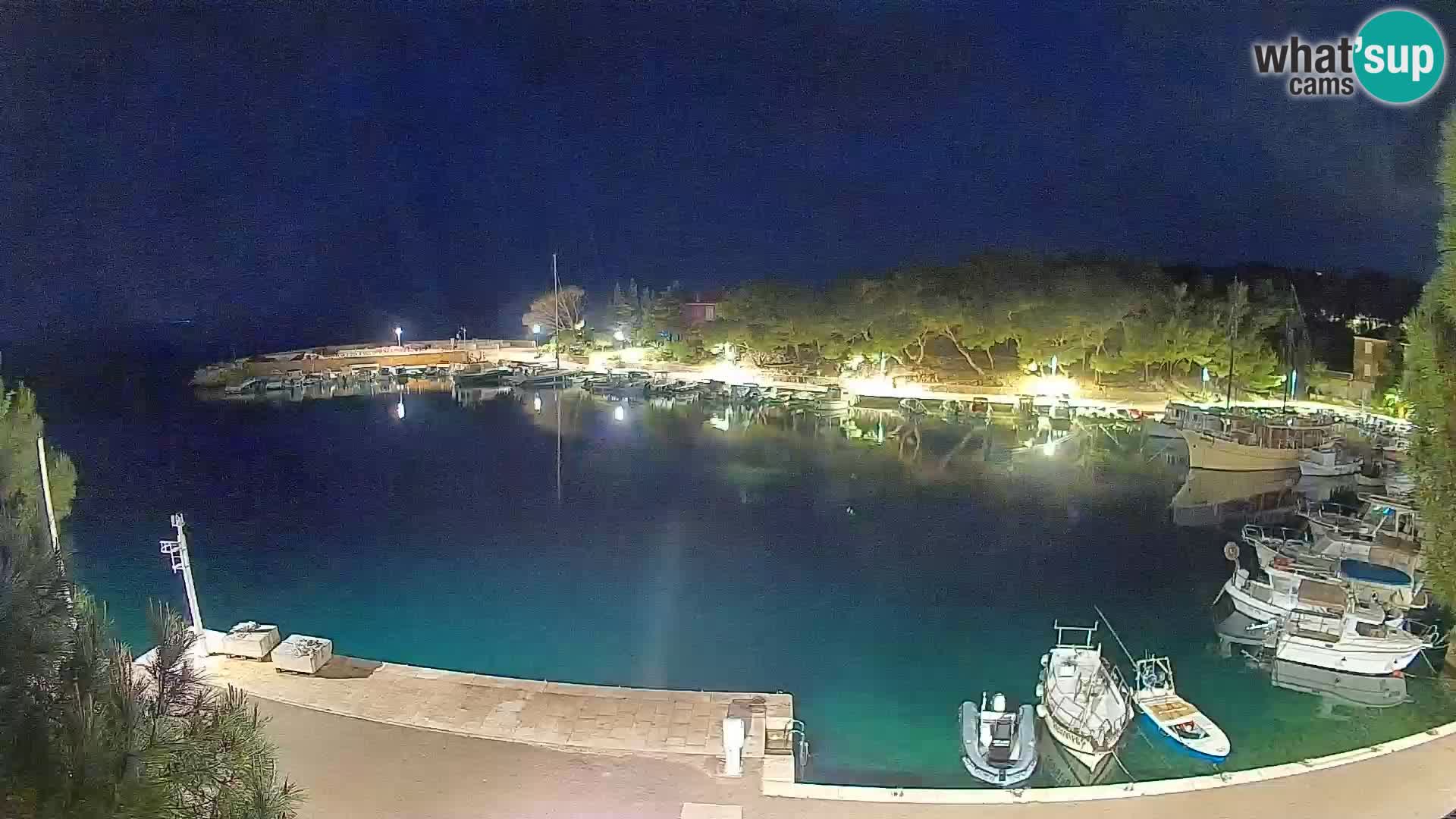 Mandre – marina