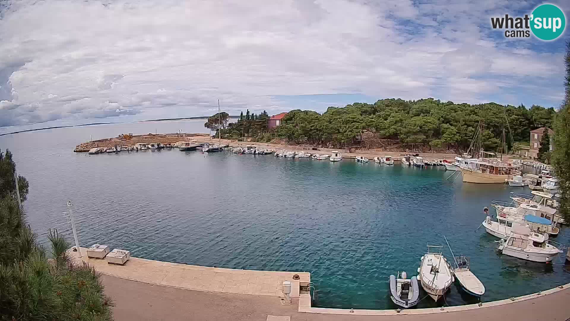 Mandre – marina