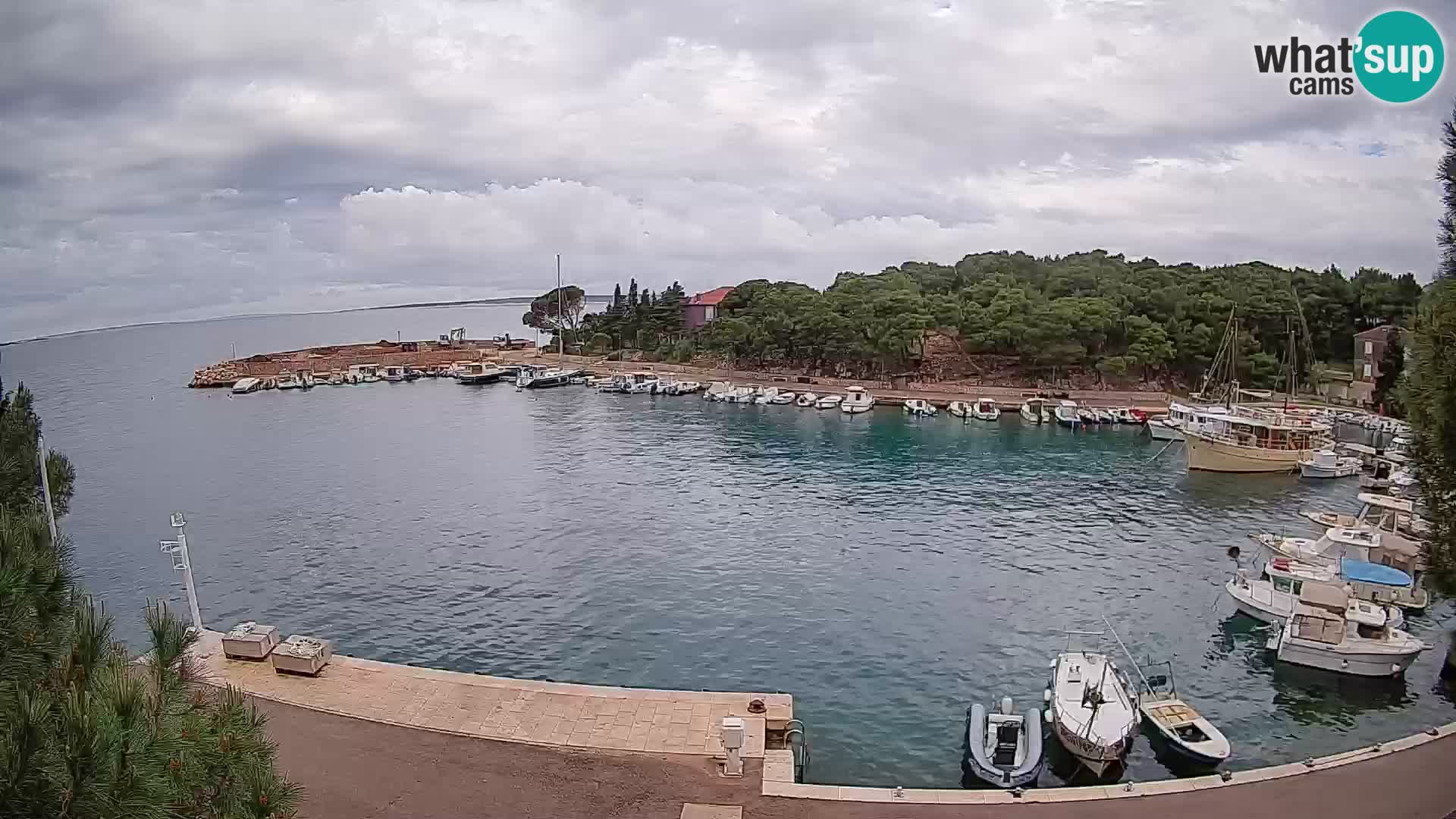 Mandre – marina