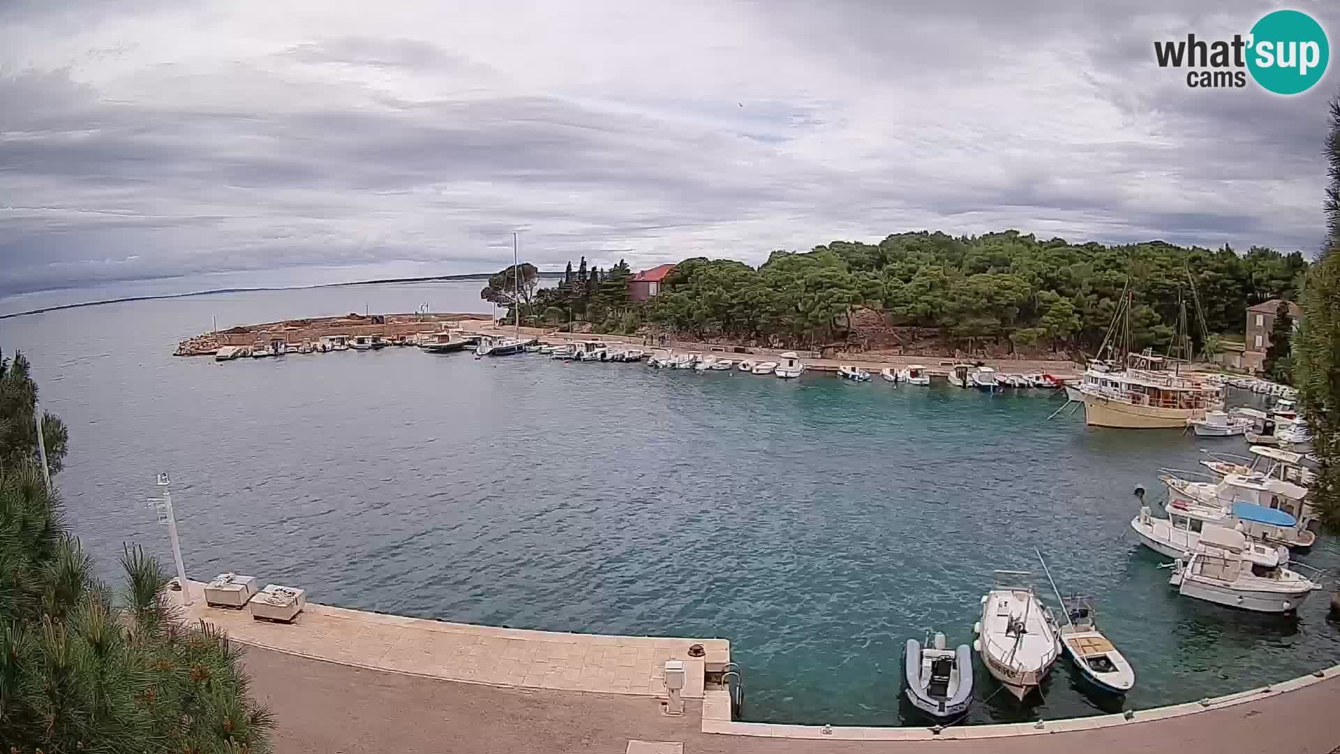 Mandre – marina