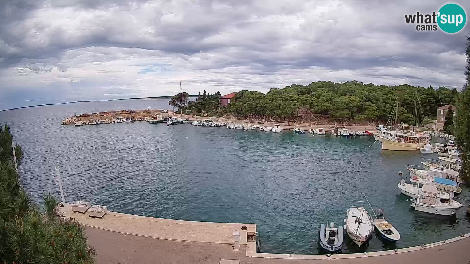 Mandre – marina