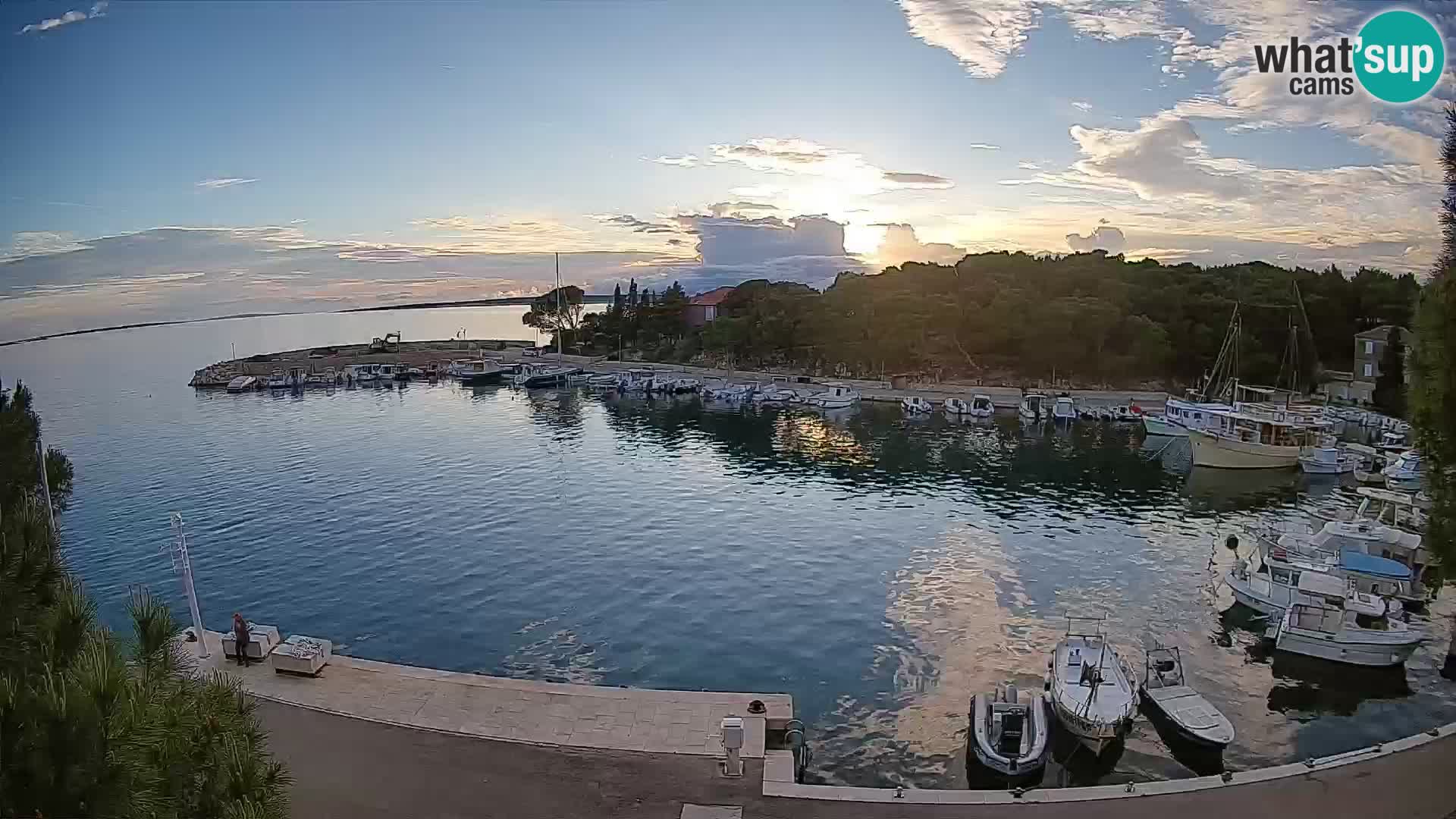 Mandre – marina