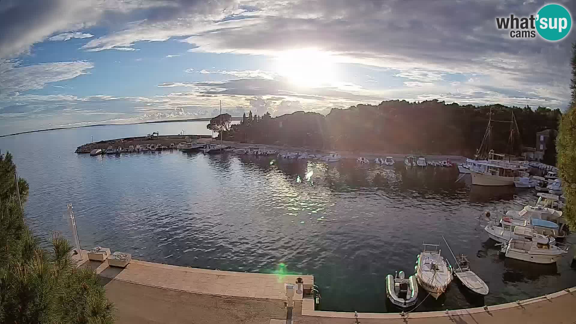 Mandre – marina