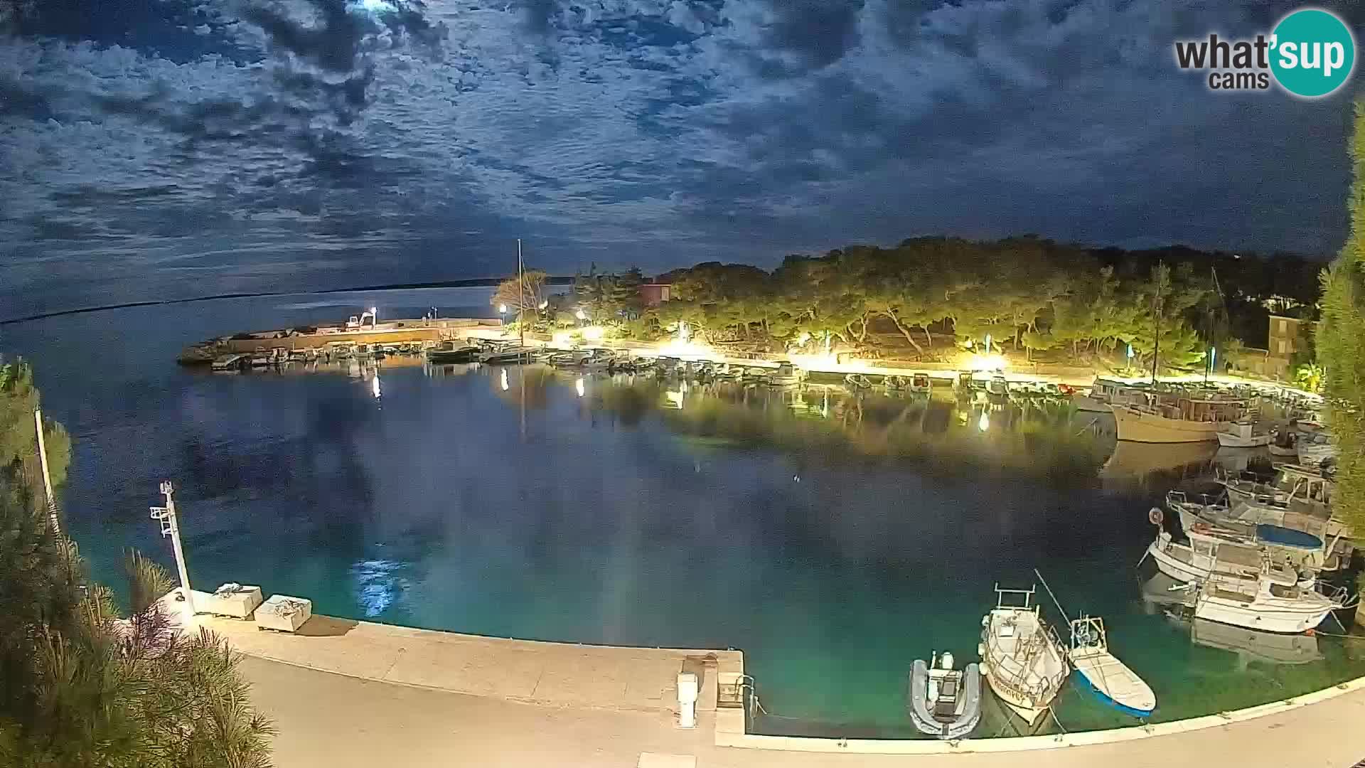 Mandre – marina