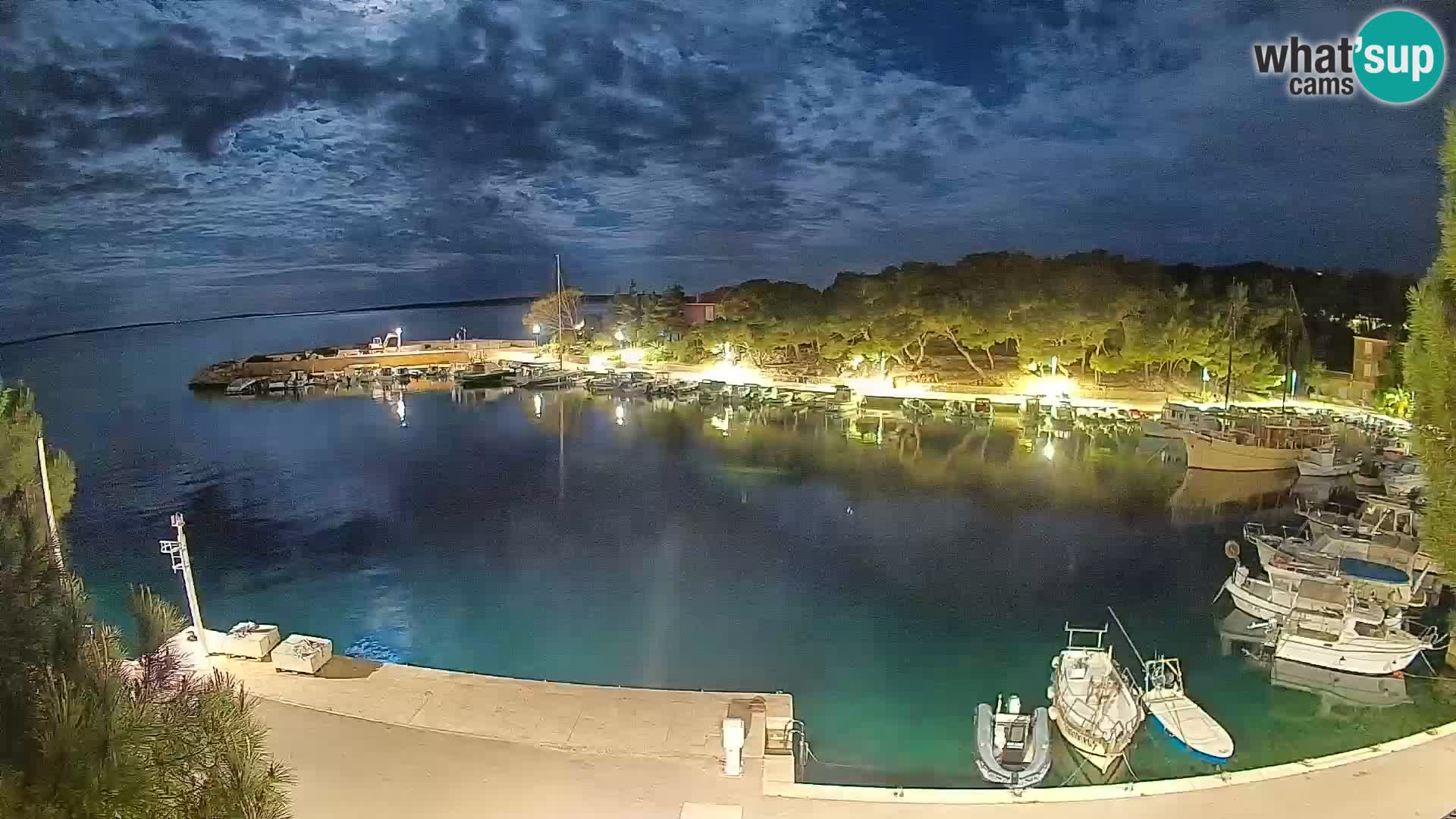 Mandre – marina