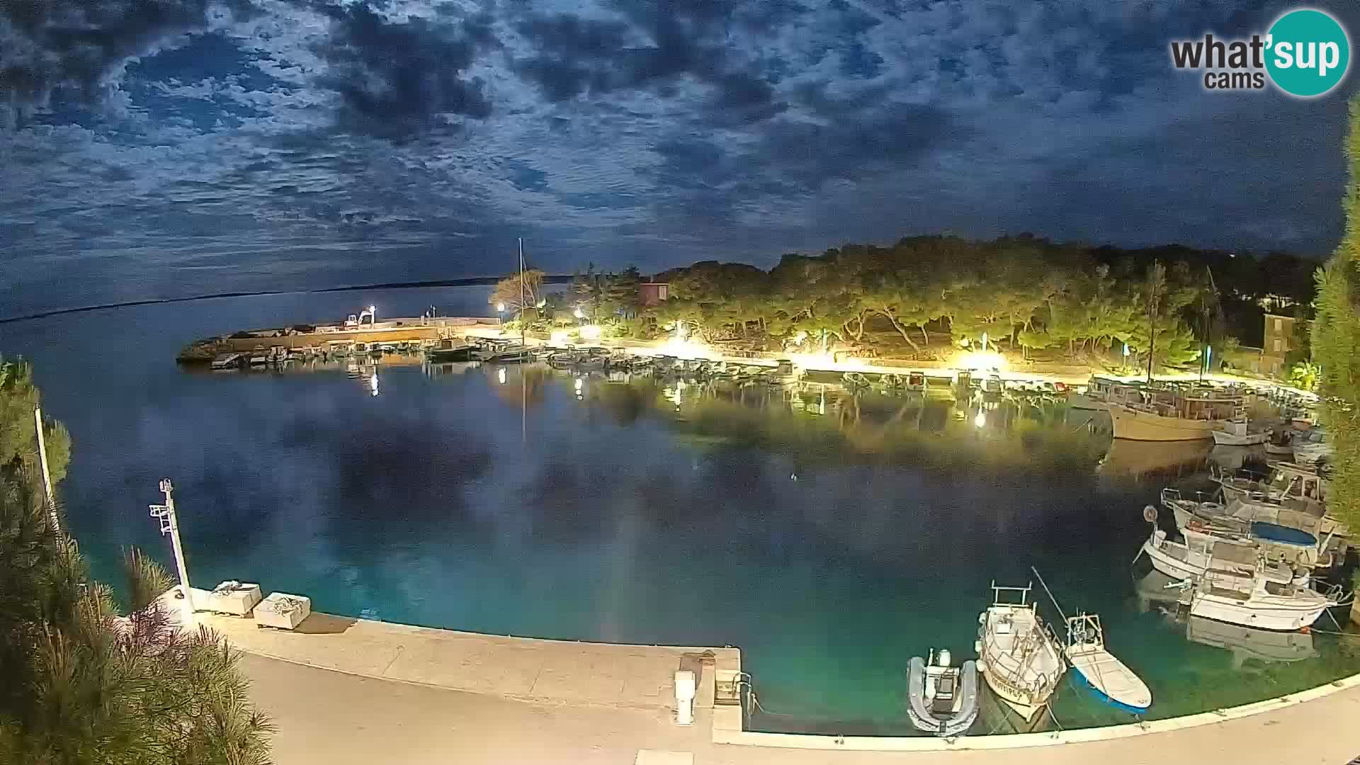 Mandre – marina