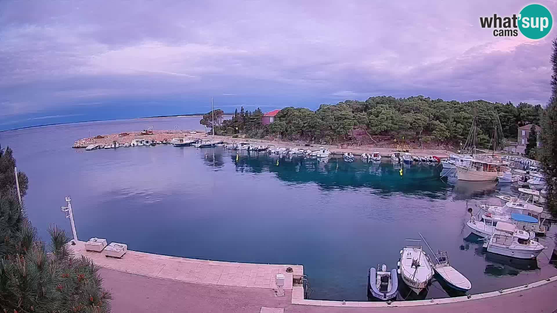 Mandre – marina