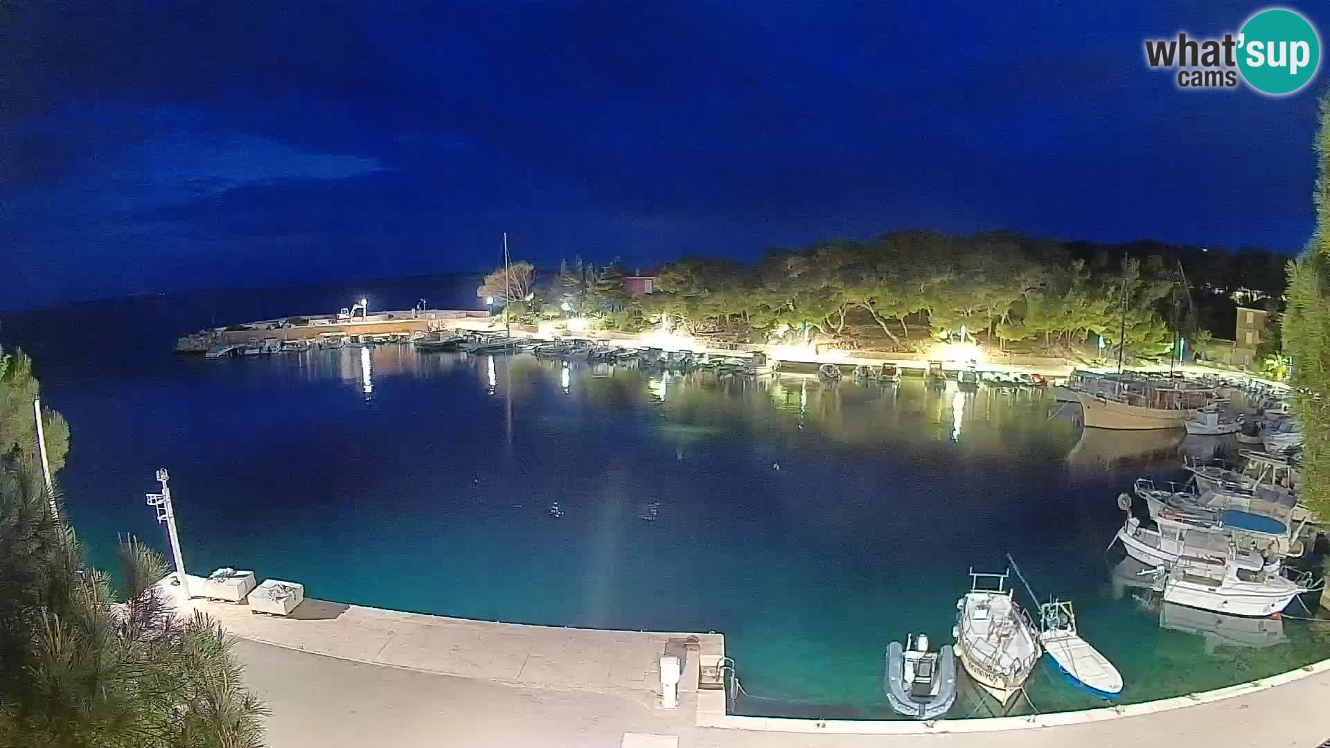 Mandre – marina
