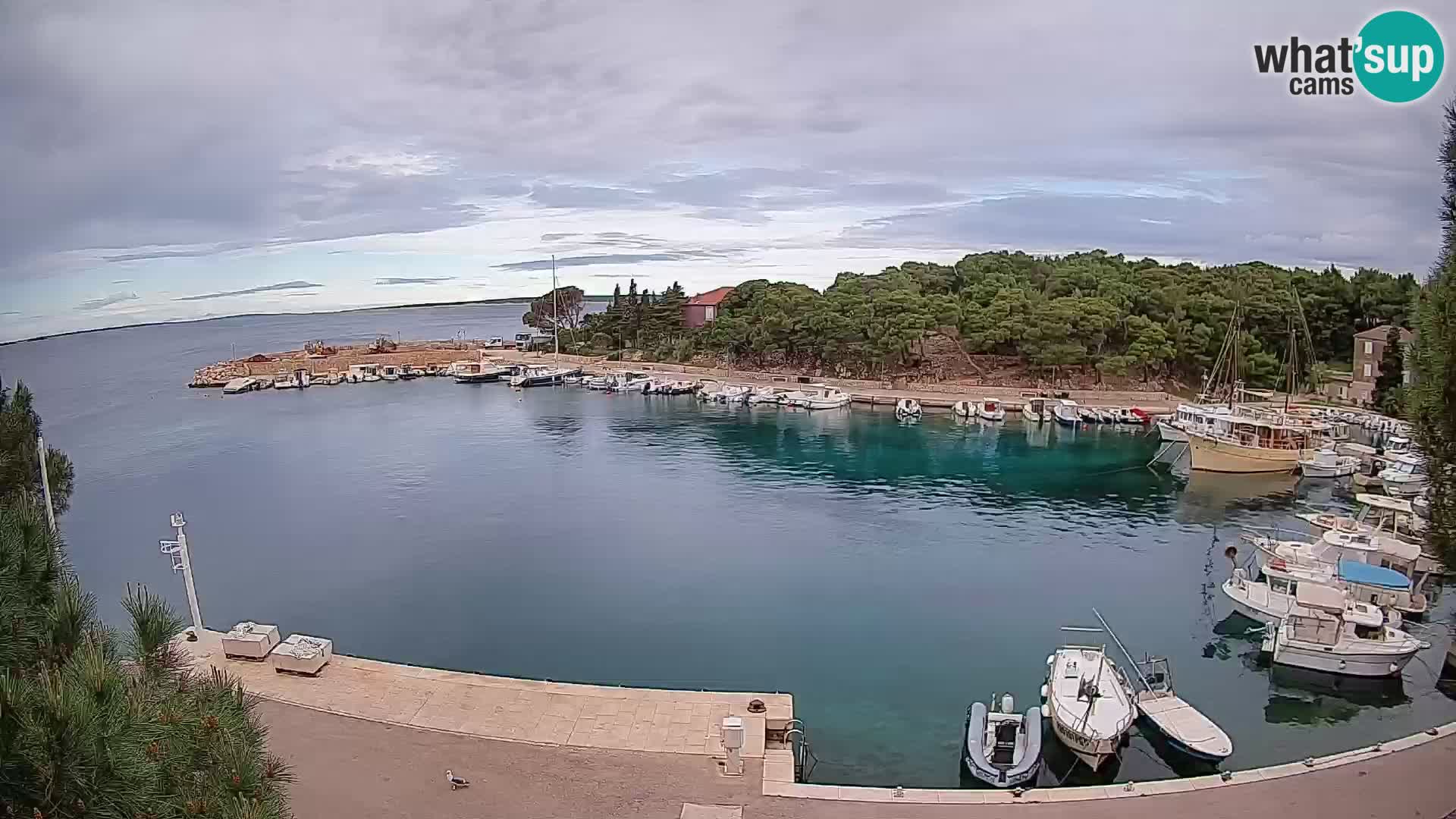 Mandre – marina