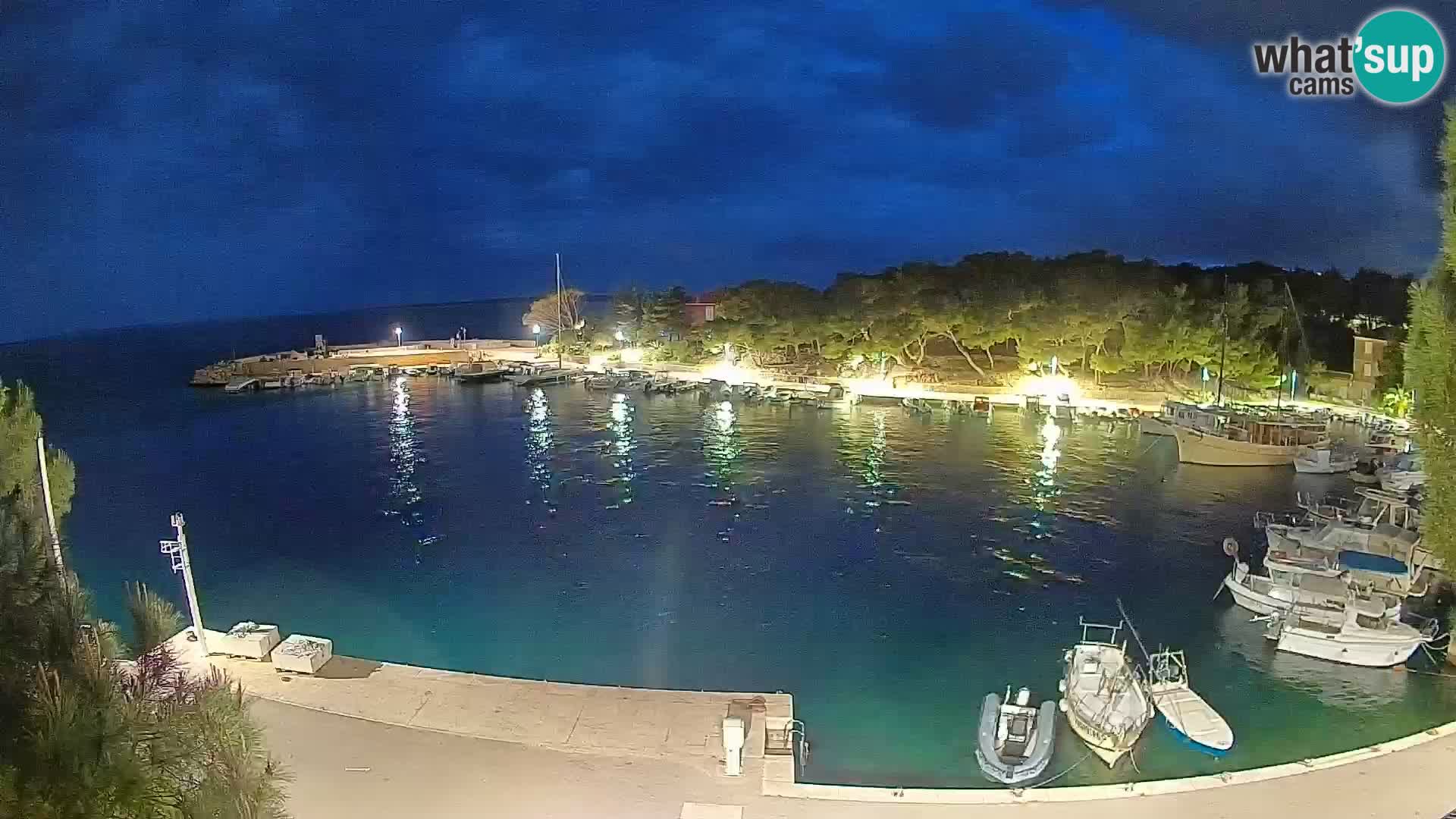 Mandre – marina