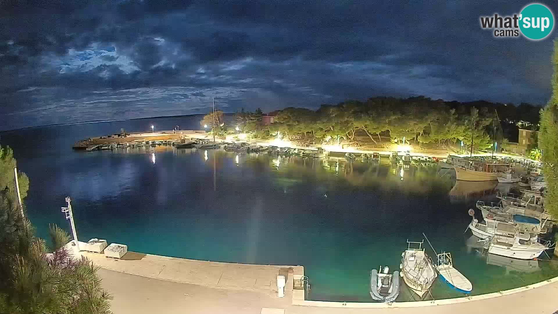 Mandre – marina