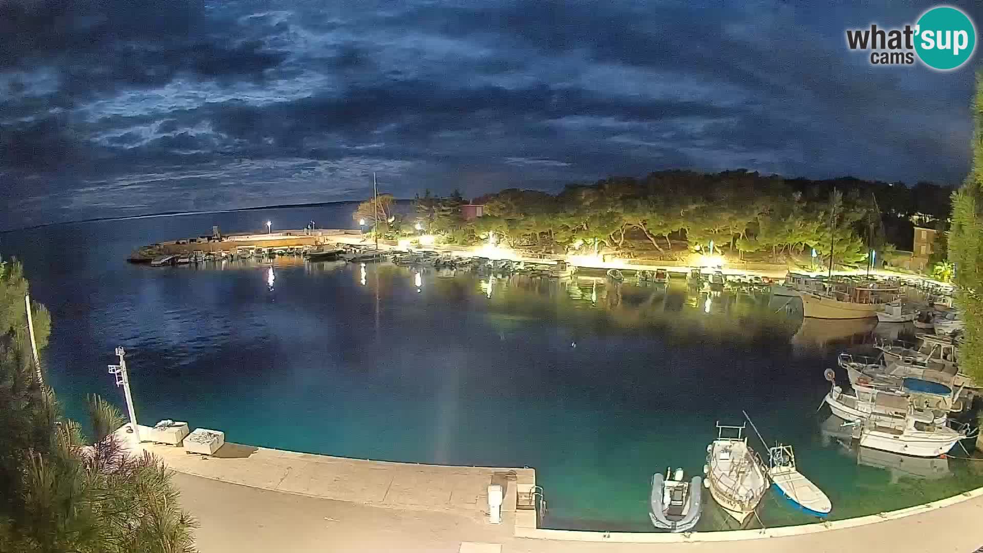 Mandre – marina
