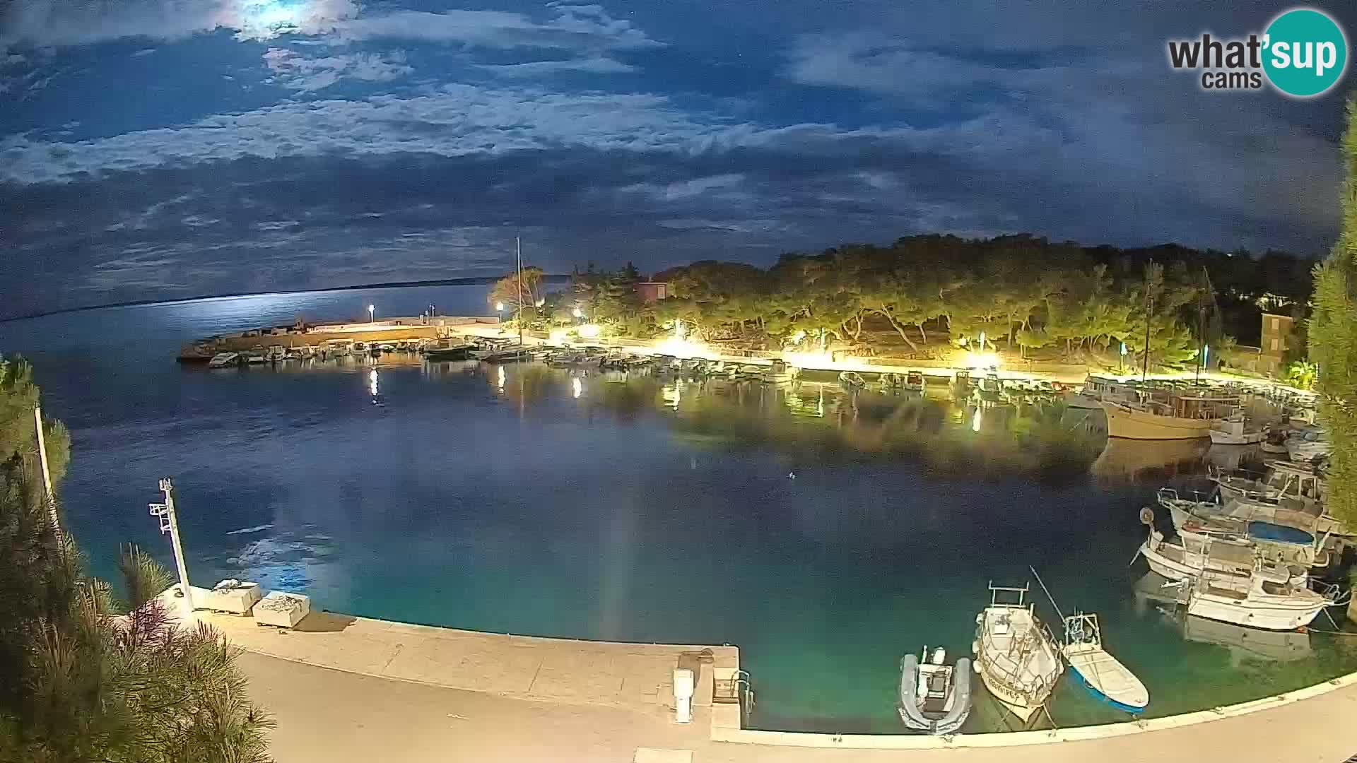 Mandre – marina