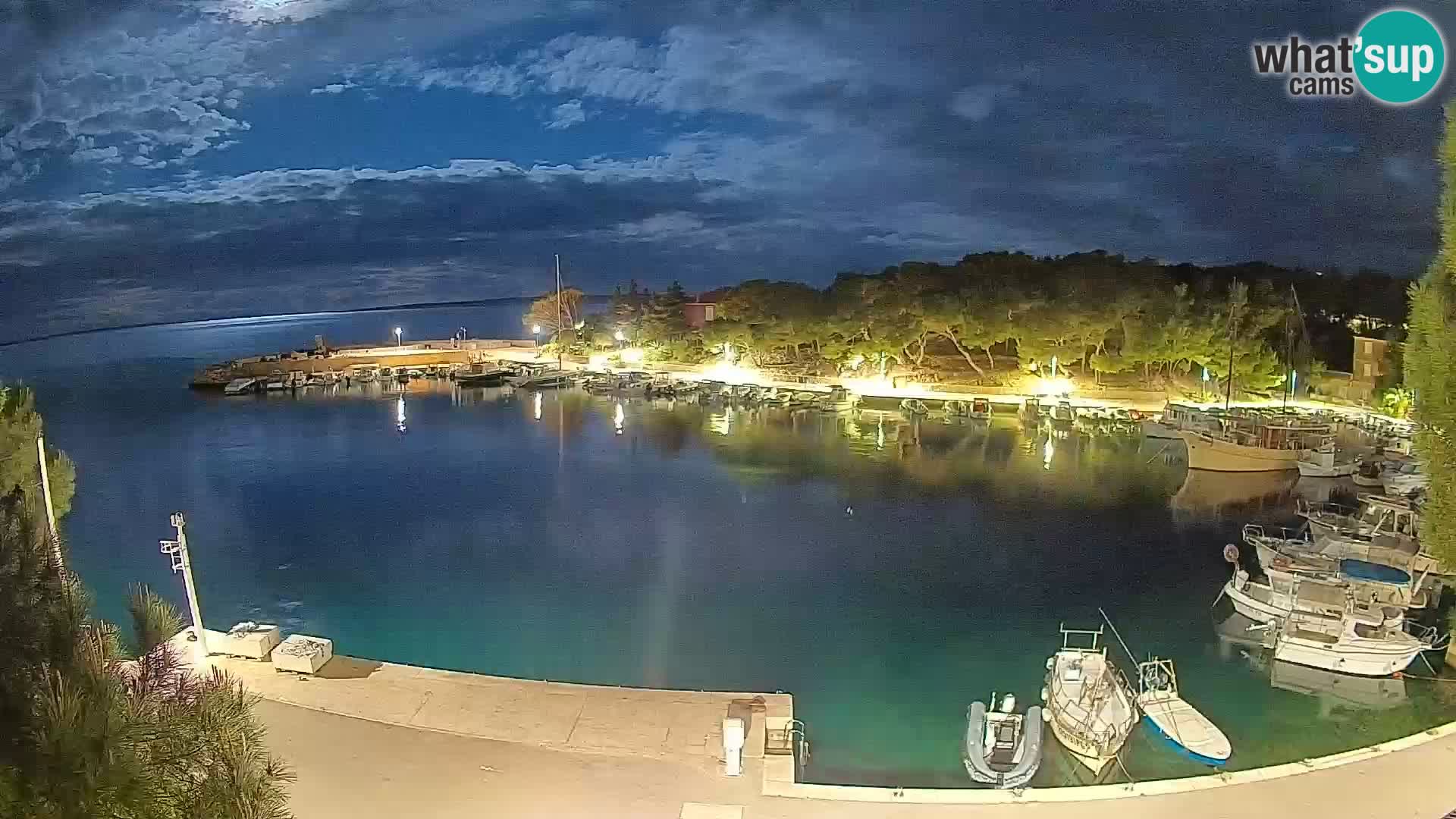 Mandre – marina