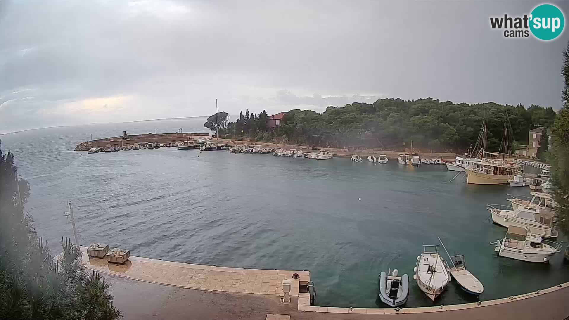 Mandre – marina
