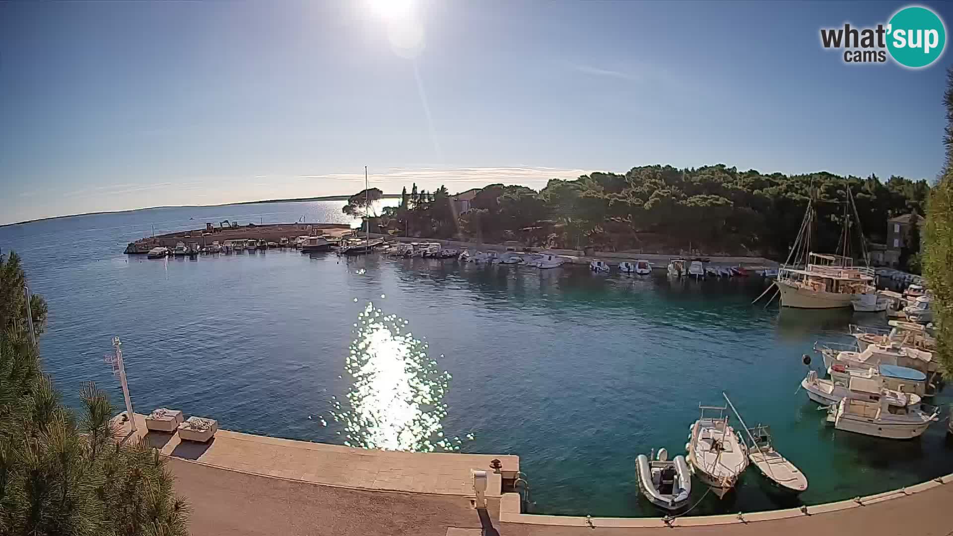 Mandre – marina
