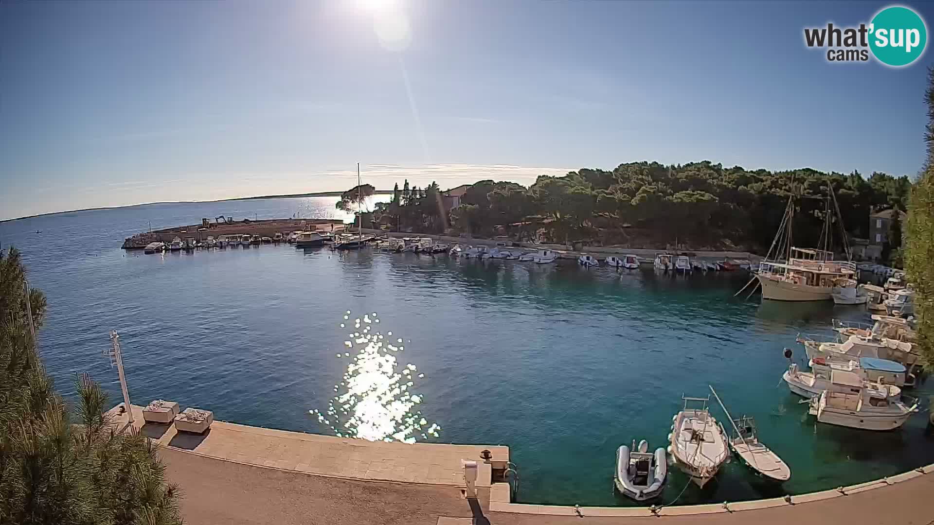 Mandre – marina